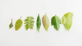 WordPressサイト制作事例:眼科クリニック